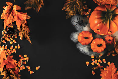 "Transform Your Home into a Holiday Wonderland!"